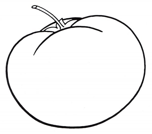 Помидор раскраска для малышей