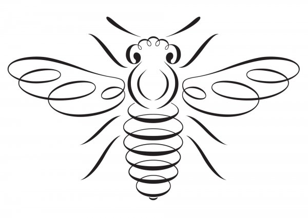 Пчела контур