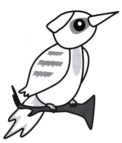 Раскраска птицы дятел