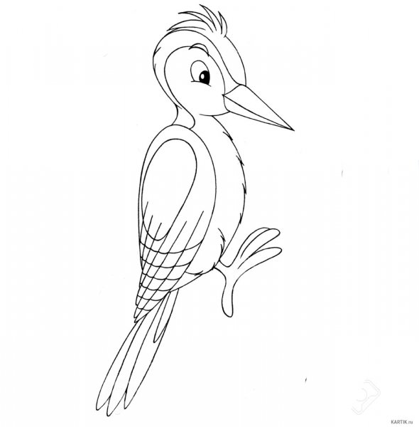 Дятел для раскрашивания детям