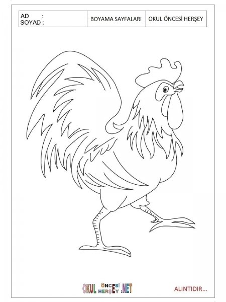 Петушок раскраска для детей