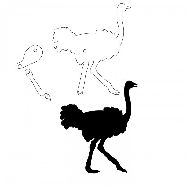 Раскраска для детей Ostrich