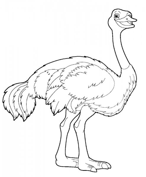 Страус раскрашенный