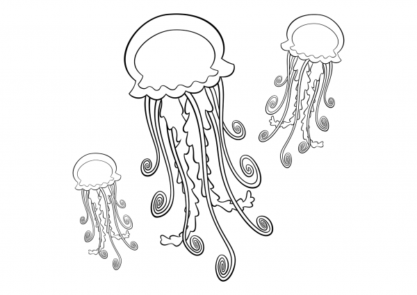 Медуза раскраска для детей