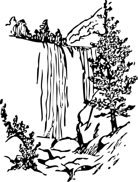 Природа Графика черно белая