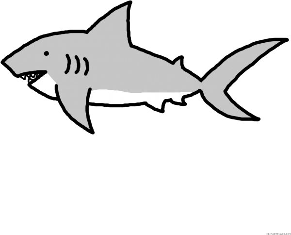 Очертания акулы