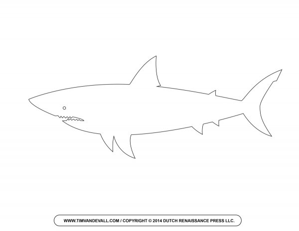 Акула контур