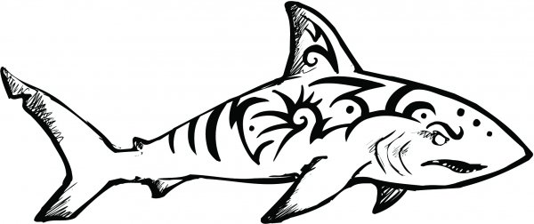 Акула карандашом