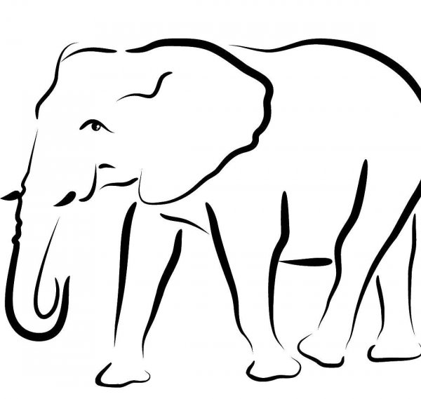 Контуры животных для рисования