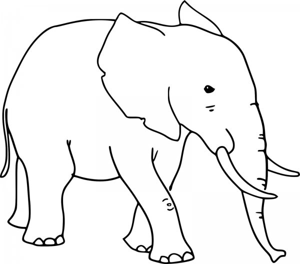 Слон трафарет для детей