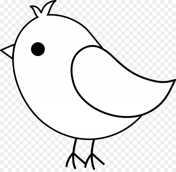 Птица контур