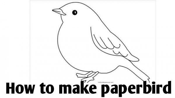 Контуры птиц для детей