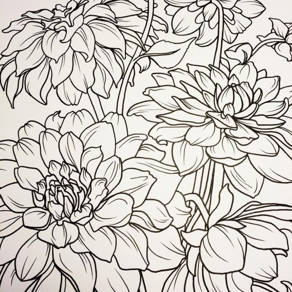 Контурные цветы