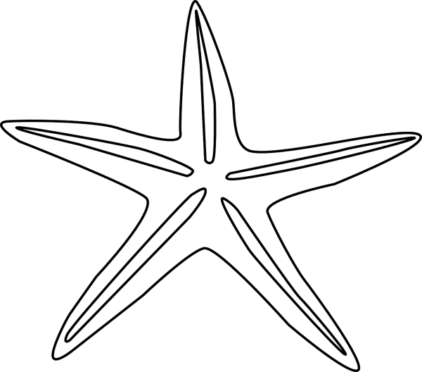 Морская звезда рисунок