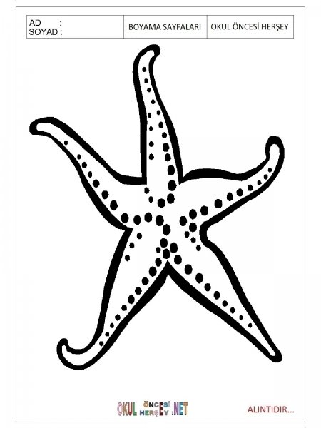 Трафареты морских обитателей