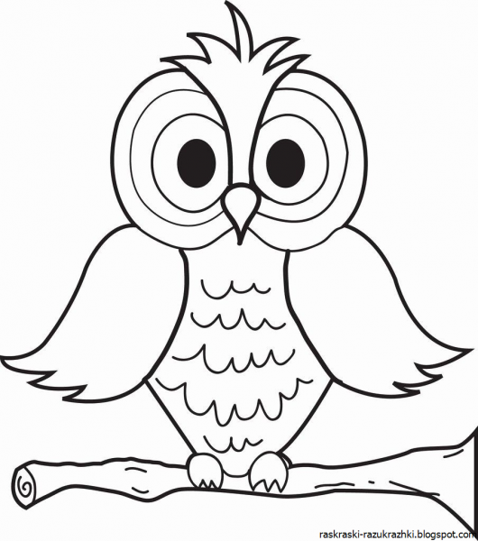 Сова раскраска