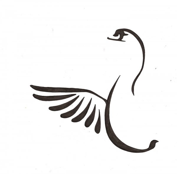 Лебедь контур