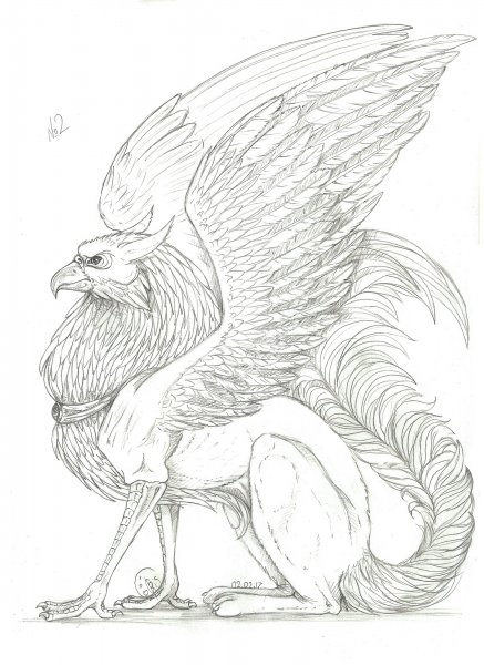 Грифон рисунок карандашом