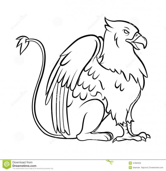 Рисунок по контуру Грифон