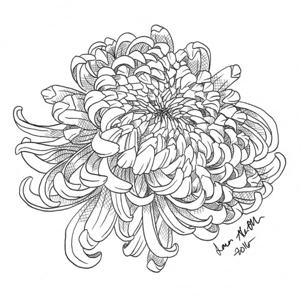 Стилизованная Хризантема