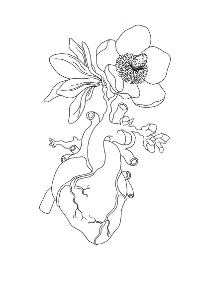 Интересные рисунки контур