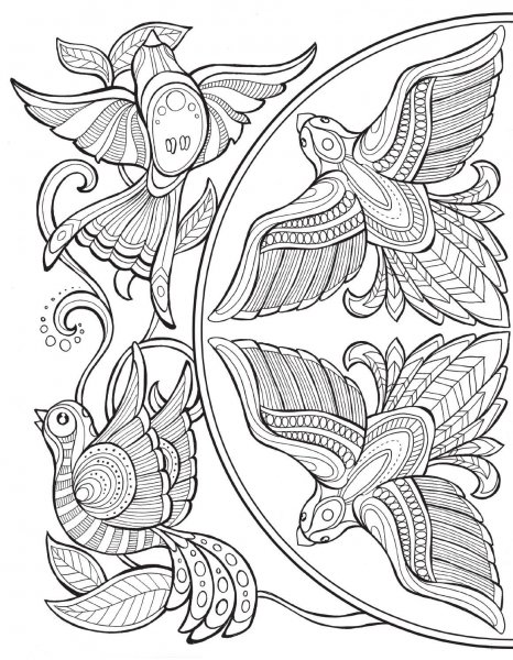 Раскраски птицы с узорами