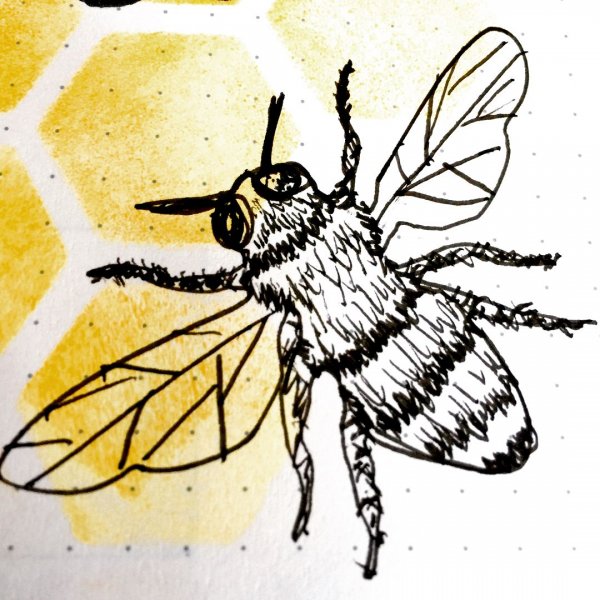 Пчёлы чб ручкой