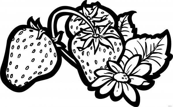 Ягоды раскраска для детей
