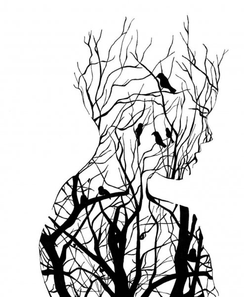 Стилизованные силуэты деревьев