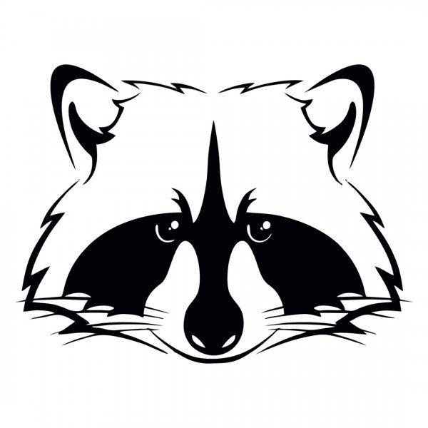 Енот Графика