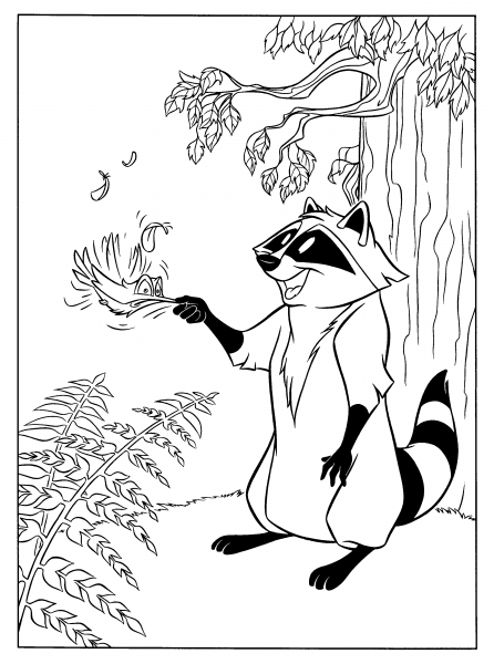 Раскраска антистресс енот