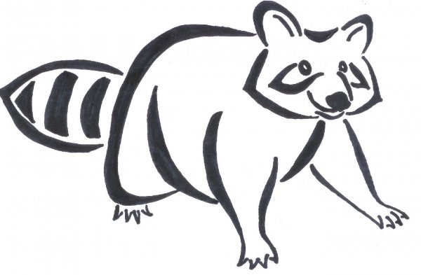 Рисунки для выжигания енот лёгкий