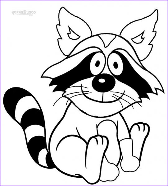 Енотик раскраска для детей