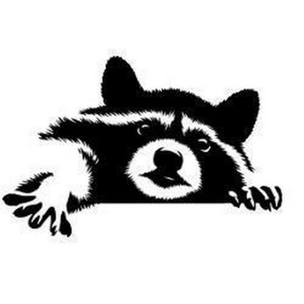 Енот трафарет