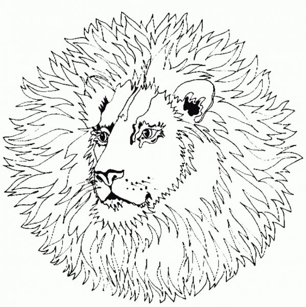 Для раскрашивания Ежик мандалы