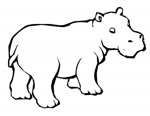 Контуры животных