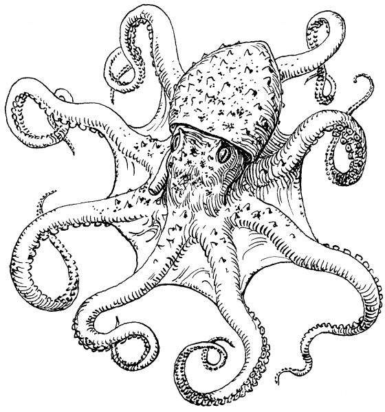 Морские обитатели