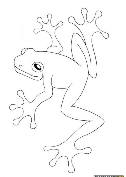 Трафарет лягушки