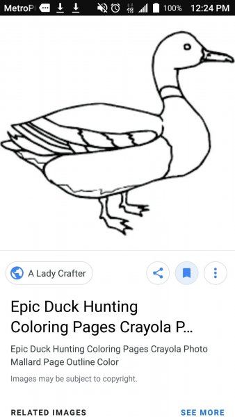 Контур утки