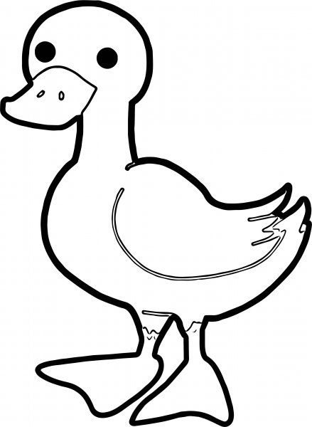 Черно белая утка