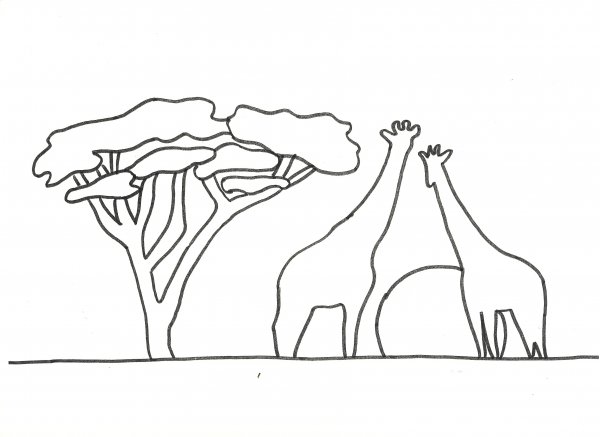 Зона саванн рисунок