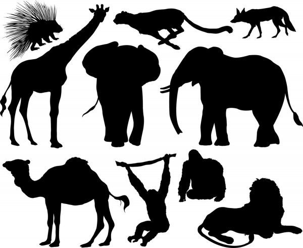 Силуэтное изображение животных