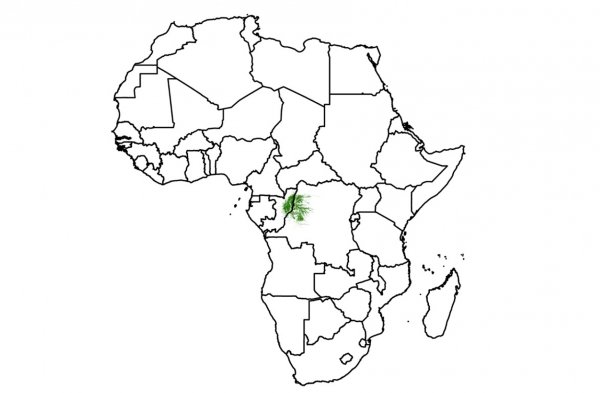 Политическая контурная карта Африки