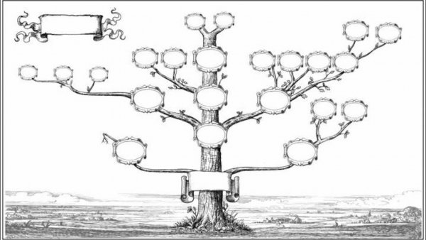 Генеалогическое Древо Манаса