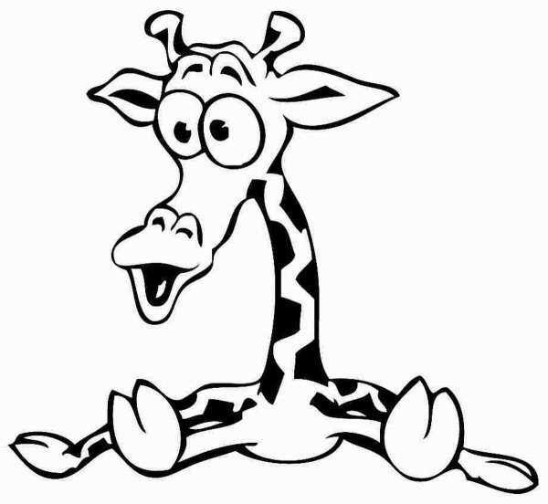 Раскраски прикольные животные