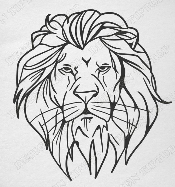 Морда Льва контур