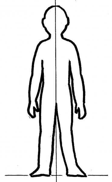 Тело схематично