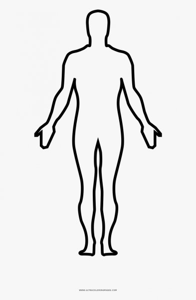 Фигура человека контур