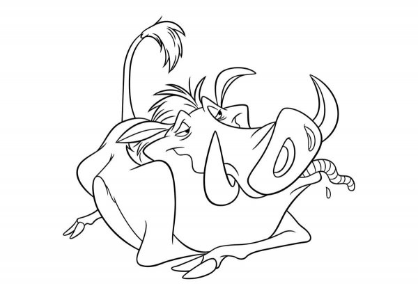 Раскраска Тимон и Пумба и Симба