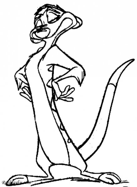 Раскраска Король Лев Тимон и Пумба